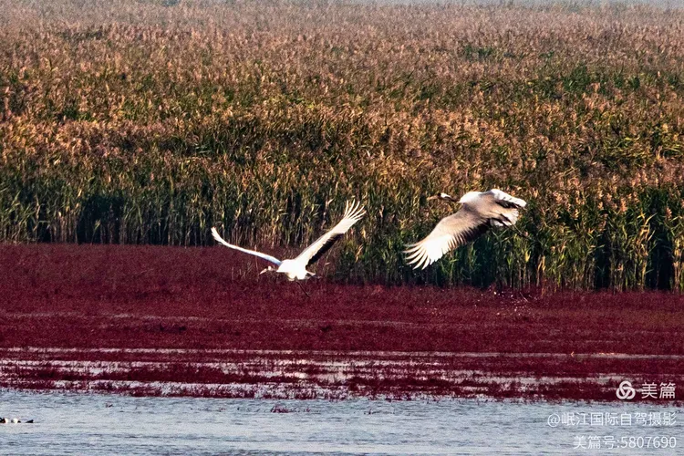 这里是一个美丽而富饶,古老而时尚,神奇而多彩的人间仙境